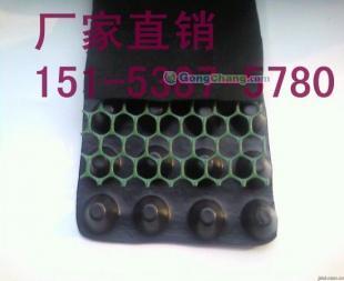 供应赤峰屋面种植隔根板,赤峰园林绿化排水板_建筑建材_世界工厂网中国产品信息库