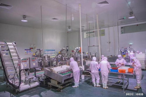 内蒙古食乐康食品当选赤峰市预制菜专业委员会会长单位