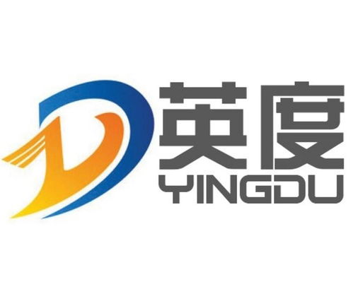 英度 广州 信息科技