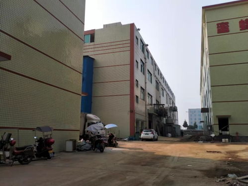 图 长沙周边8000平方全新厂房出租可做食品可办证 长沙厂房仓库土地