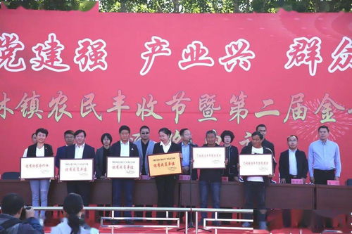 五化协同 赤峰行动 喀旗乃林镇共建共赢 共享丰收