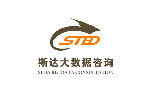 广西斯达大数据信息咨询
