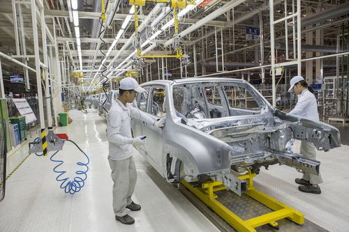 于无路处走出新路,才是jeep